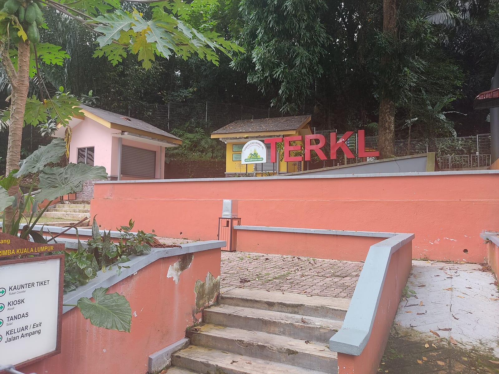Bukit Nanas Forest Eco Park, Kuala Lumpur